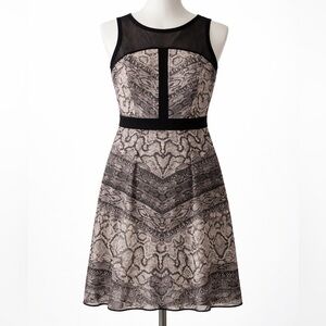 Buffalo Women Dress Size large